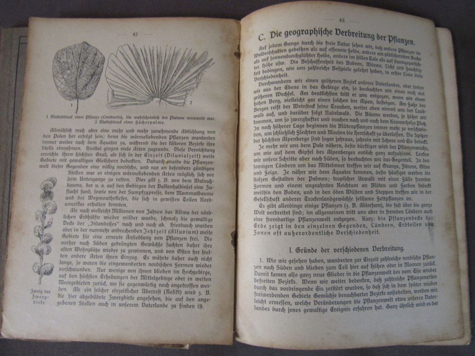 Konvolut antike Bücher Flora und - Image 8 of 10