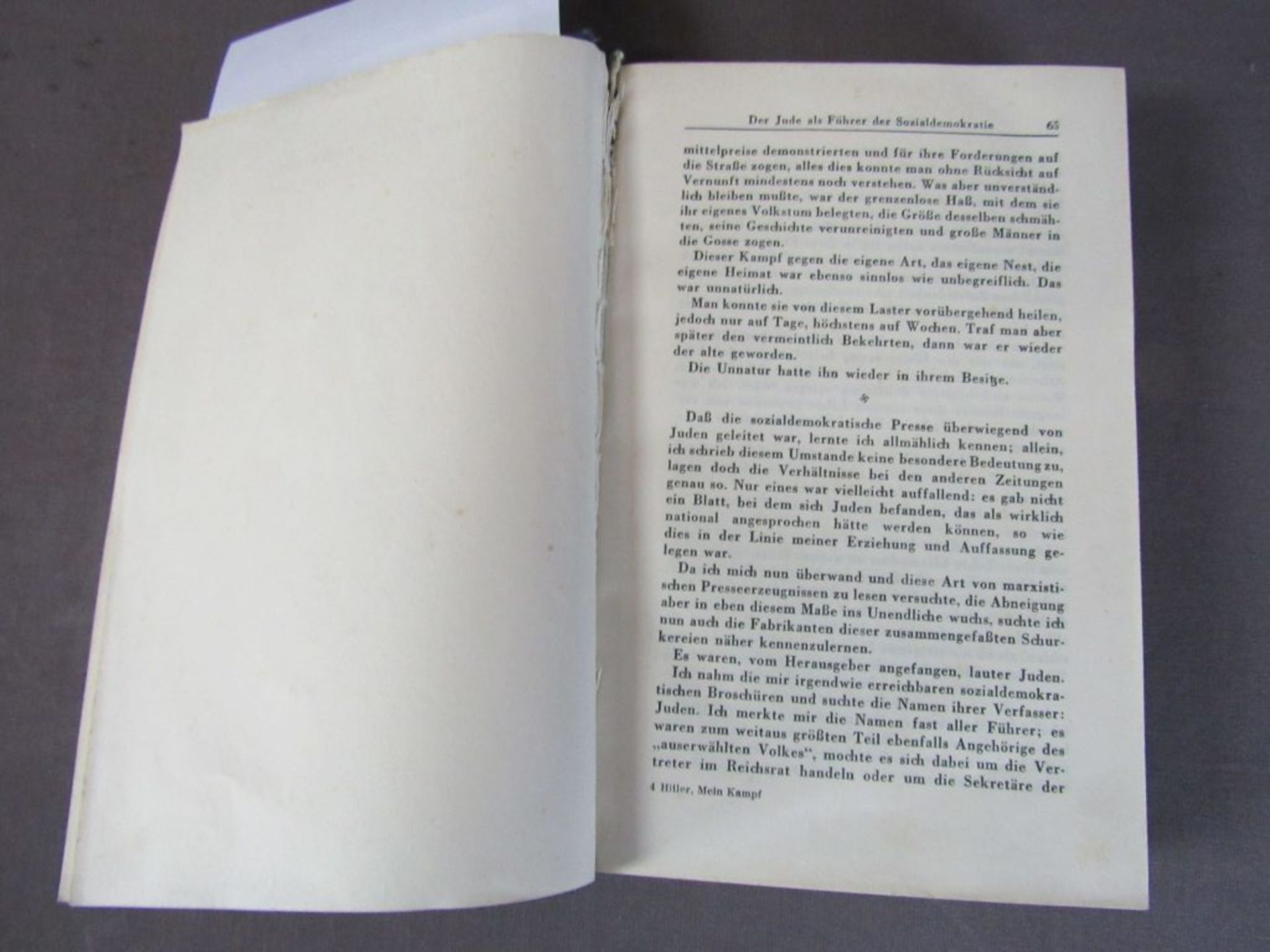 Buch Adolf Hitler mein Kampf blauer - Bild 4 aus 8