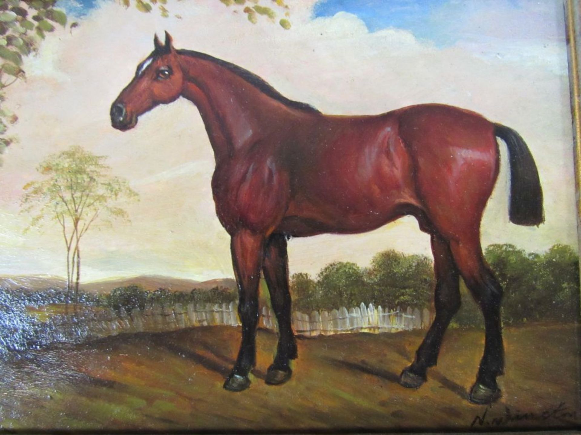 Gemälde Pferd Öl auf Pappe