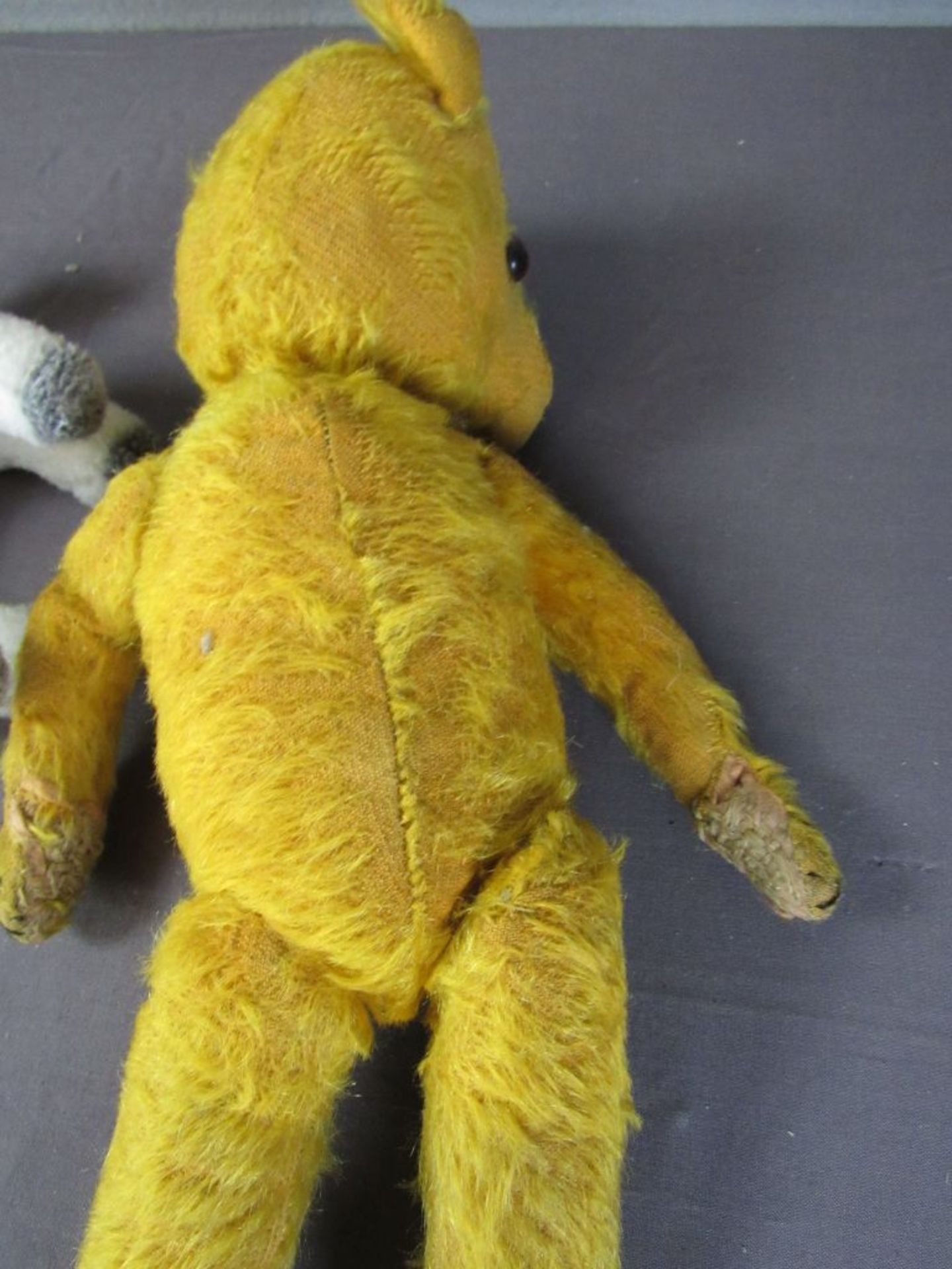 Antiker Teddybär Sonnenberger Raum - Bild 8 aus 8