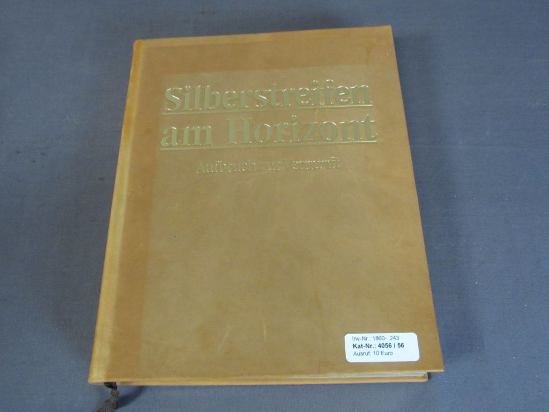 Buch in Leder gebunden Silberstreifen