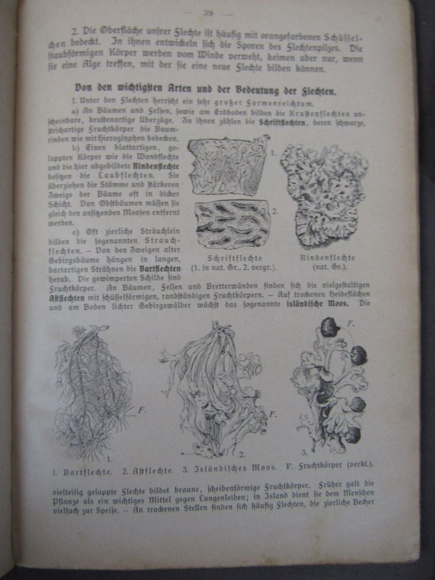 Konvolut antike Bücher Flora und - Bild 9 aus 10