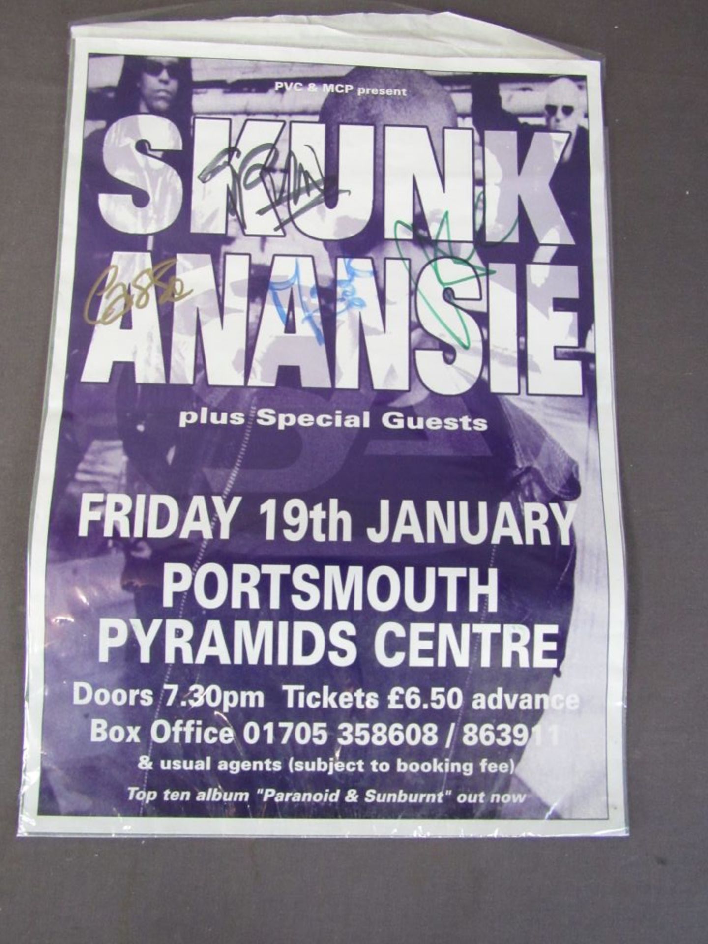 Poster Skunk Anensie
