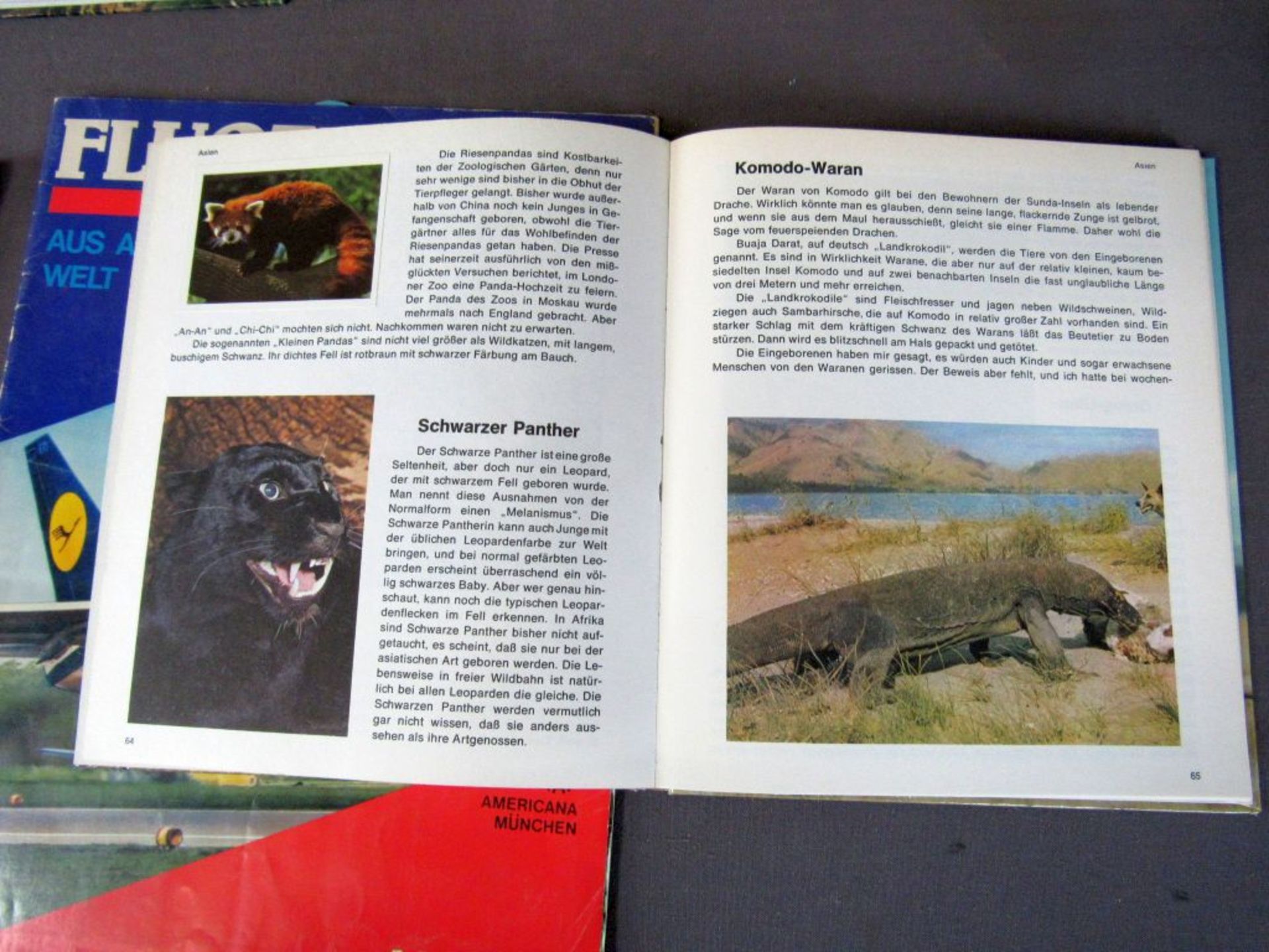 Tier und Expeditionsbücher Beigabe - Image 3 of 9