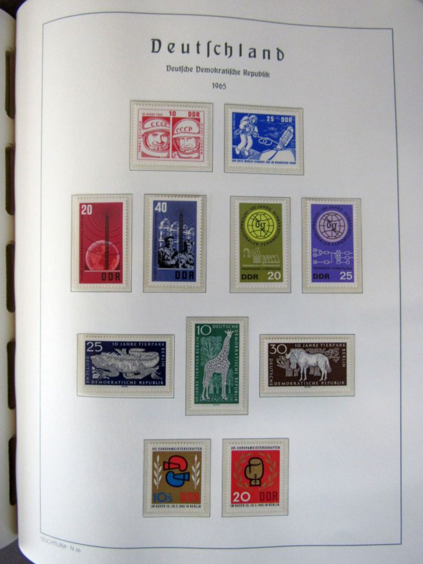 DDR Sammlung aus 1949-1970 im - Image 8 of 8