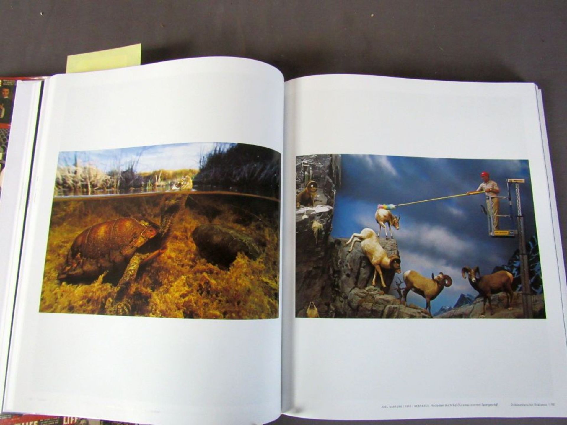 Zwei Bücher 'Die Bilder' und 'Die - Image 3 of 8