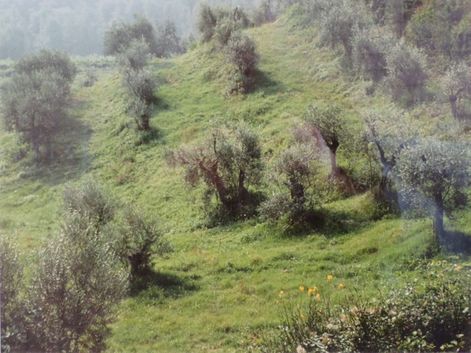 Bosch, Joop D., "Landschaft bei San Gimignano (Toskana)", Fotografie, 30 x 40 cm, R. [51,5 x 61,5 c