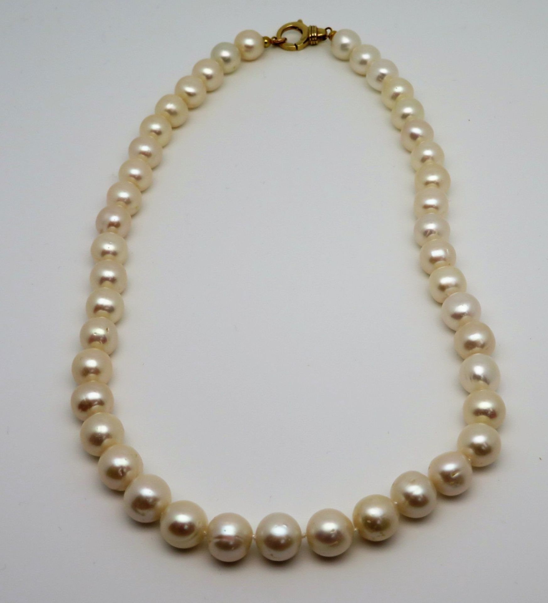 Perlenkette, einreihig, 14 karätige Gelbgold-Schließe, gepunzt, einzeln geknotet, l 52 cm, ca. d 1 