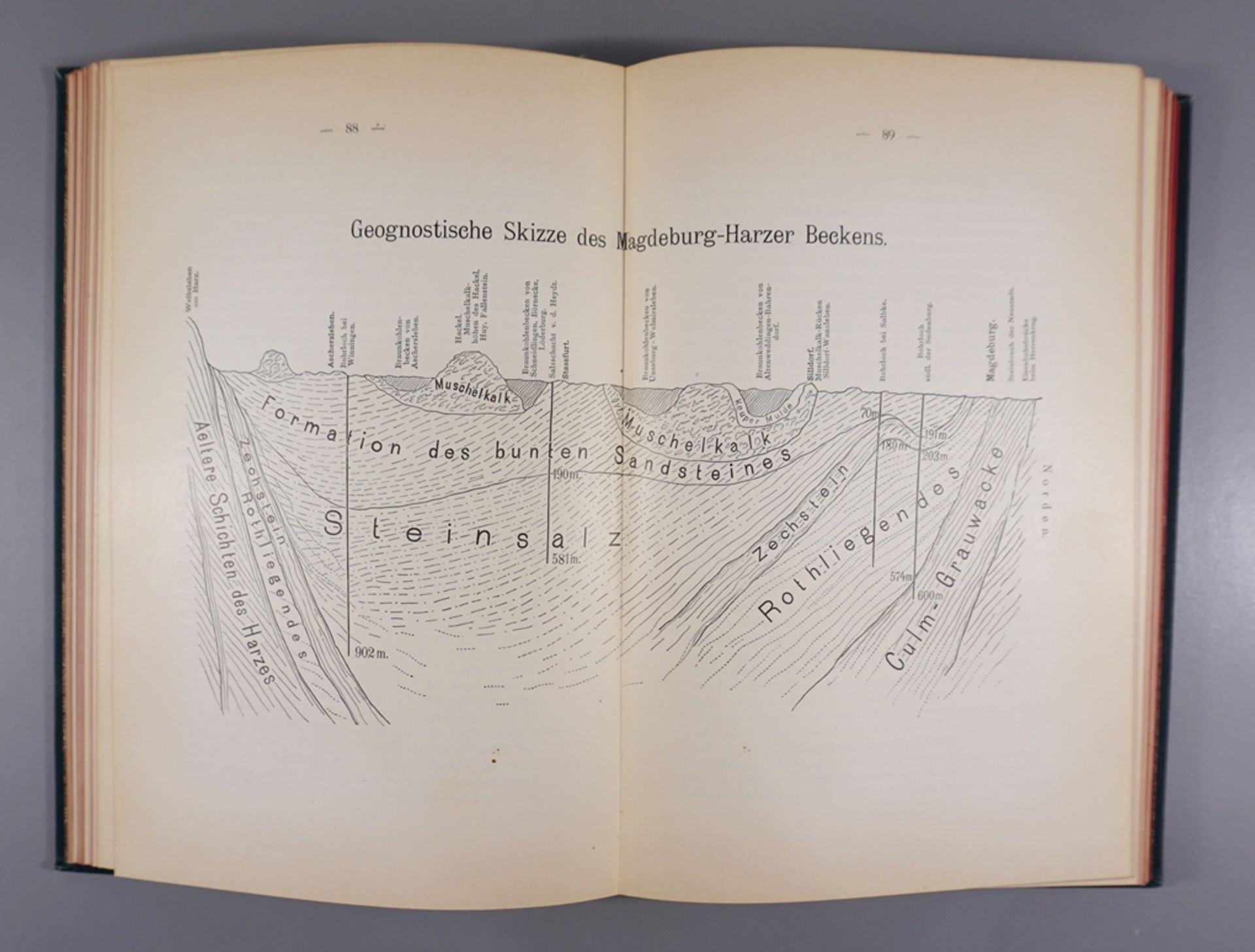 Festschrift "57.Versammlung Deutscher Naturforscher und Aerzte", Magdeburg, 1884 - Bild 3 aus 4