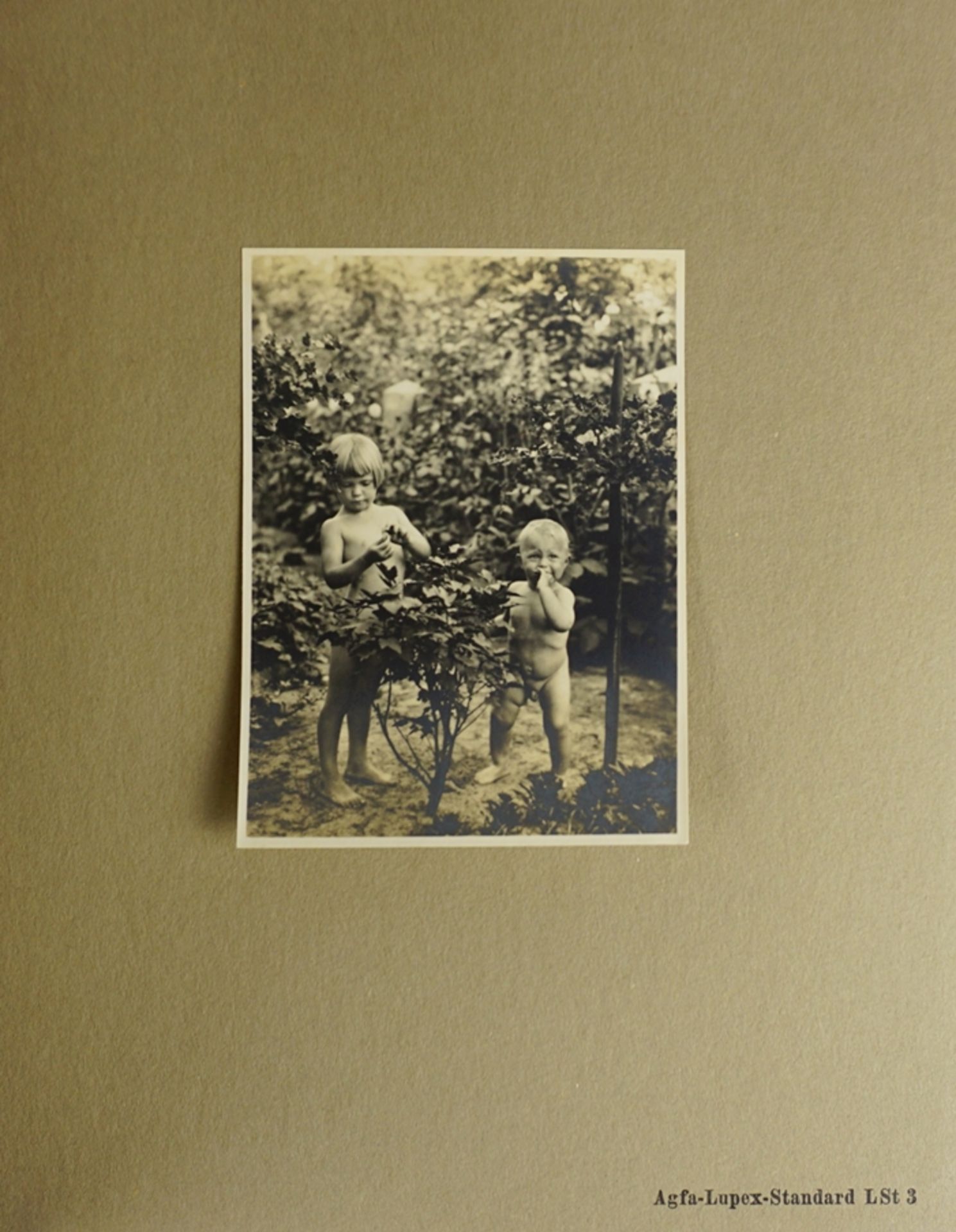 Konvolut Fotopapier-Beispielkataloghefte und 10 Zeitschriften, Agfa Photoblätter, 10.Jahrgang, 1933 - Bild 10 aus 10