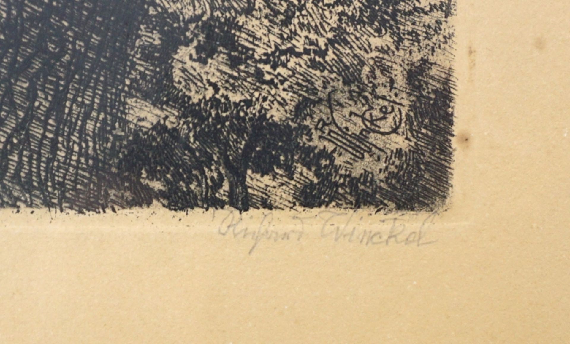 Richard Winckel (1870, Berleburg - 1941, Magdeburg), "Kastanienbaum", ca. 1930, Radierung - Image 2 of 2