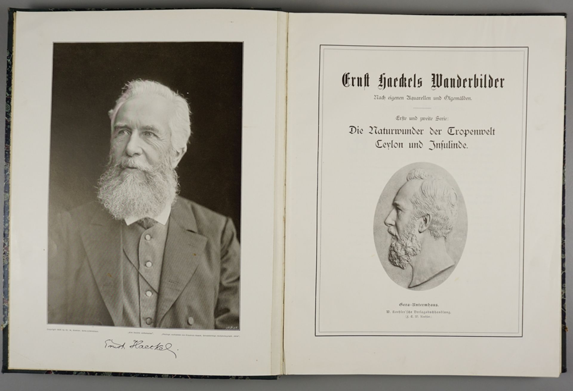 Ernst Haeckels Wanderbilder, Erste und zweite Serie, nach eigenen Aquarellen und Ölgemälden, 1905