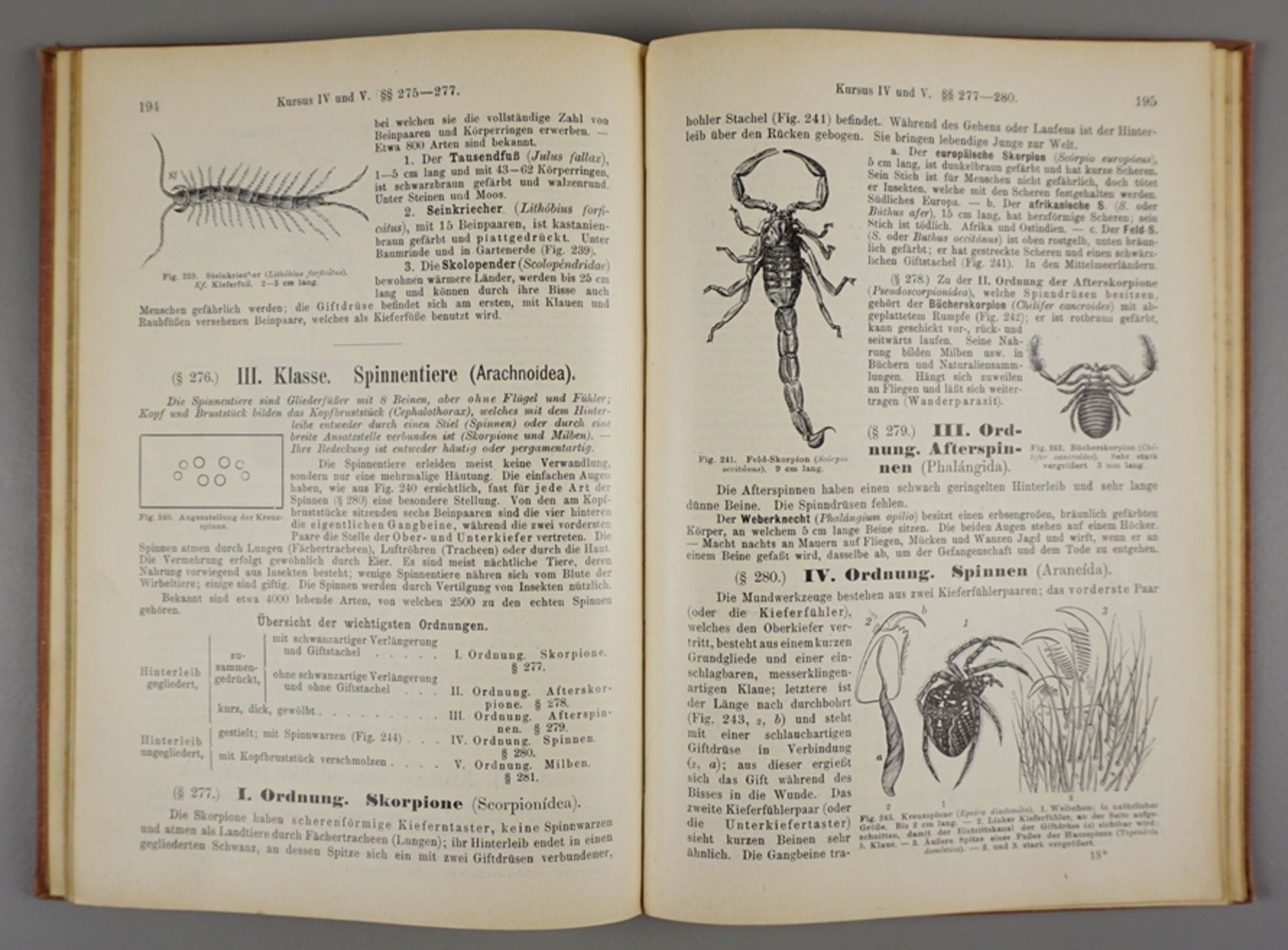 Leitfaden der Botanik, 1908 und Leitfaden der Zoologie, 1906 - Bild 8 aus 8