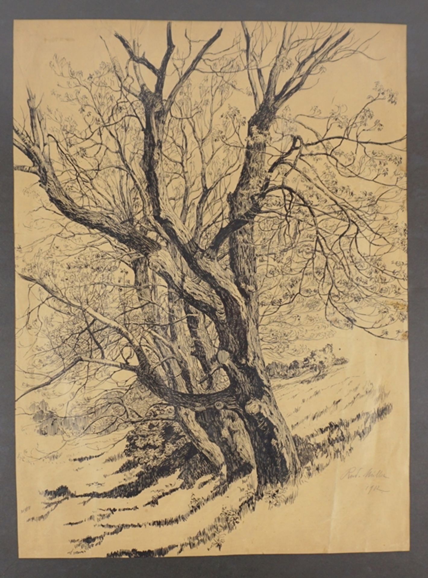 Rudolph Müller, "Baumreihe", 1902, Tusche/Papier