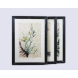 Drei Blumenbilder, Aquarell auf Japanpapier