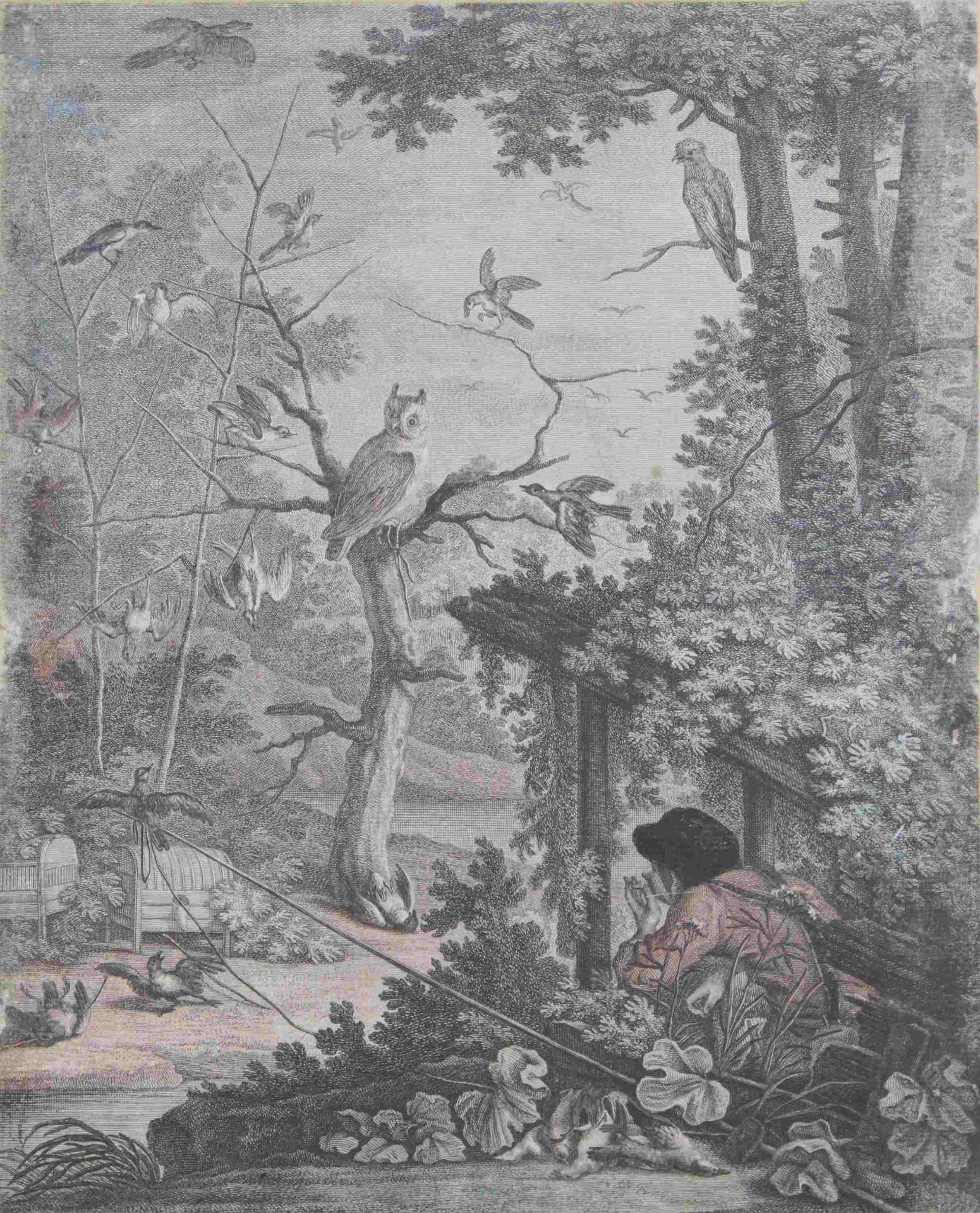 Der Vogelfänger, kolorierte Radierung, Ende 18. Jh., Plattenmaße: 24,5 x 30 cm