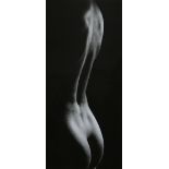 Unbekannter Künstler, Akt, Fotografie, schwarz-weiß. Lichtmaß: 19 x 38,5 cm