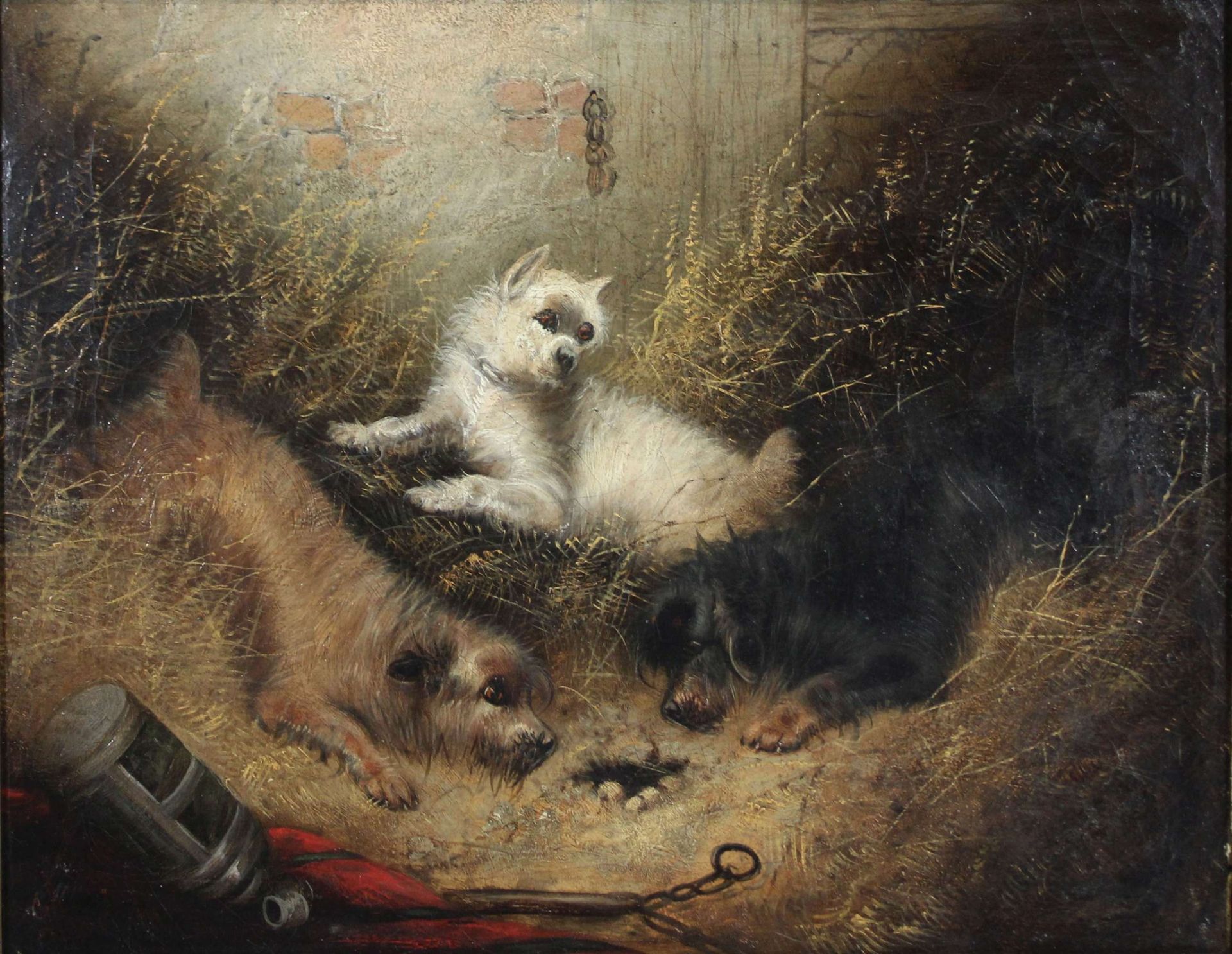 George Armfield (britisch, um 1808 - 1893), Drei Terrier, Öl auf Leinwand