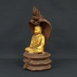 Buddha von Naga beschützt