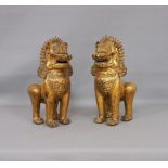 Paar Tempelwächter-Löwen