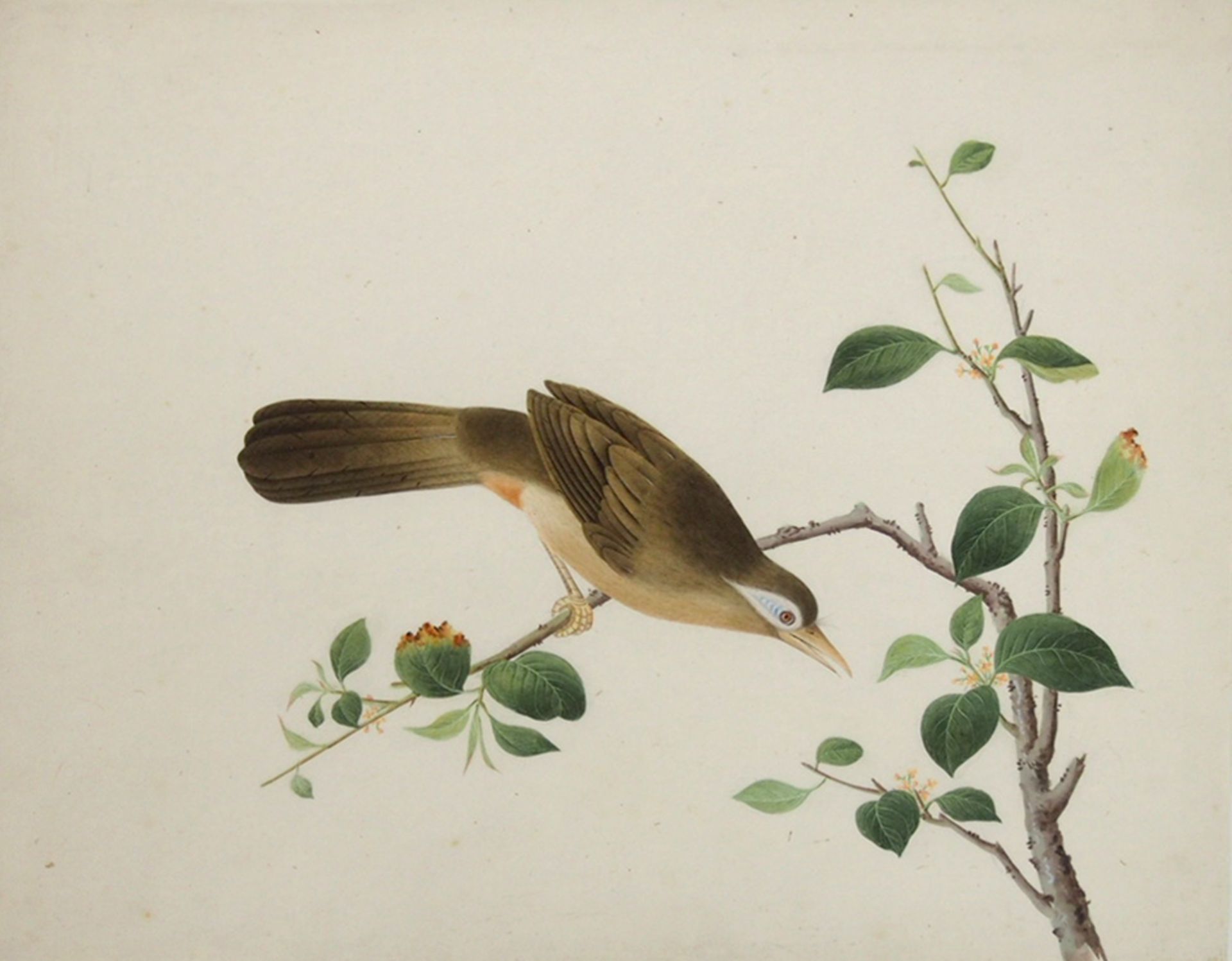 CHINESISCHER MEISTER: Singvogel auf Blütenzweig - Image 2 of 2