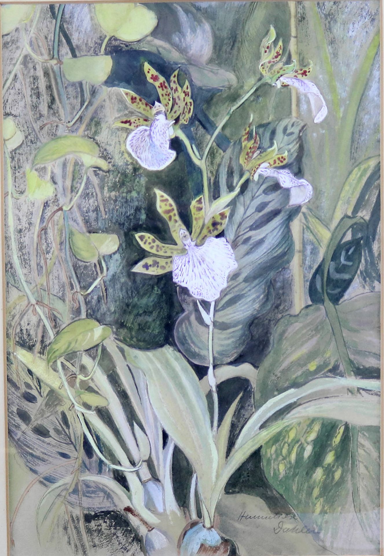 Hanneliese Dahler (1906-?) Mischtechnik "Orchidee" sig., 44 x 30 cm - Image 2 of 3