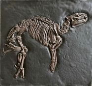 Tapir (Hyrachius minimus), Kunstharz, 70er Jahre. Dieser Fund eines Tapirs in der Grube Messel bei
