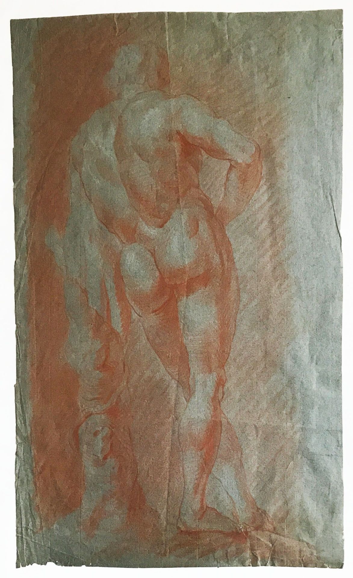 Zwei Aktzeichnungen in Rötel, 18. Jh.: Rückenansicht eines muskulösen Mannes in ausdrucksstarker - Image 3 of 3