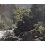Franz Leinecker (1825-1917), Landschaft mit Wasserfall in bewaldeter, felsiger Gegend, mittig