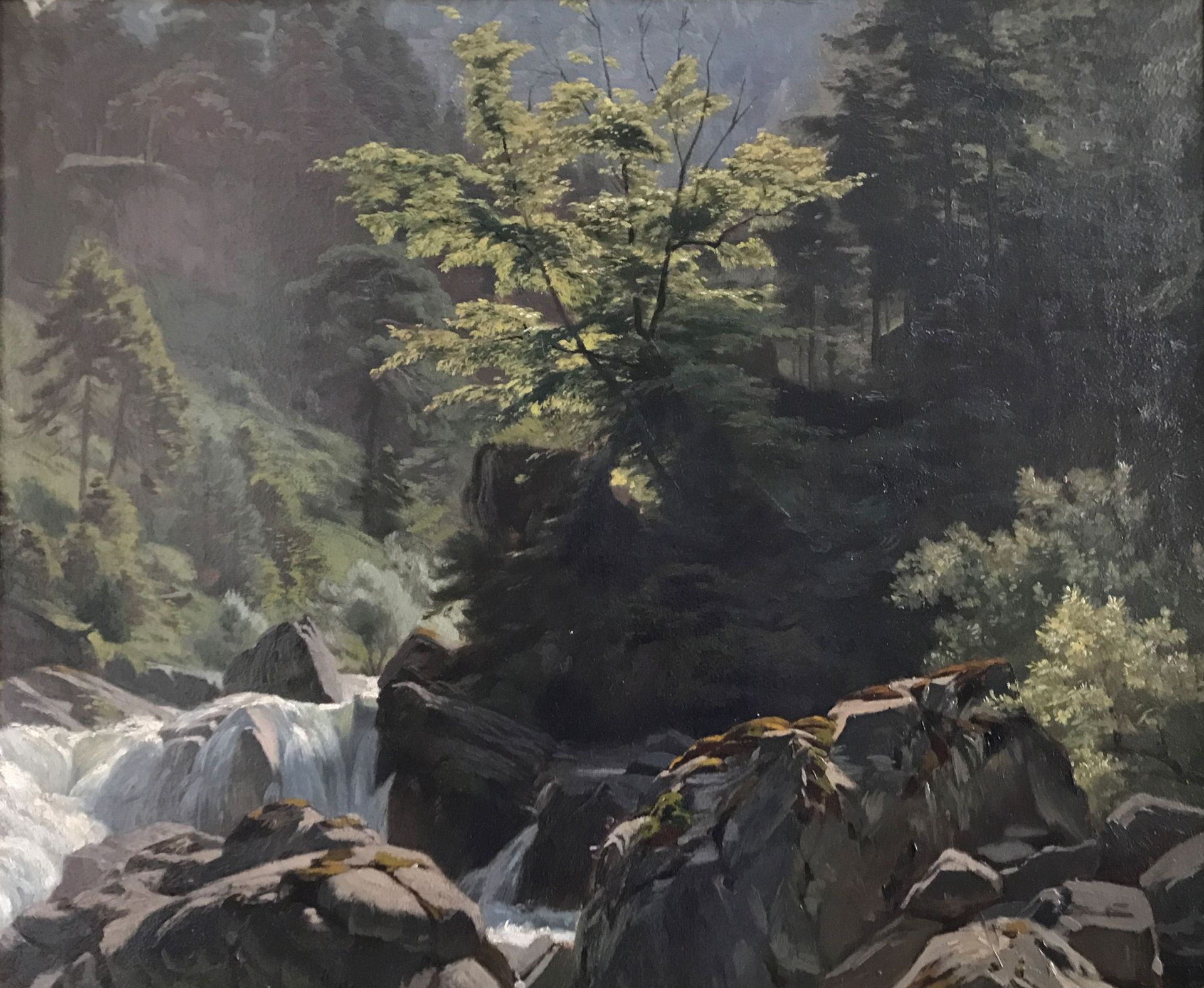 Franz Leinecker (1825-1917), Landschaft mit Wasserfall in bewaldeter, felsiger Gegend, mittig