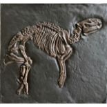 Tapir (Hyrachius minimus), Kunstharz, 70er Jahre. Dieser Fund eines Tapirs in der Grube Messel bei