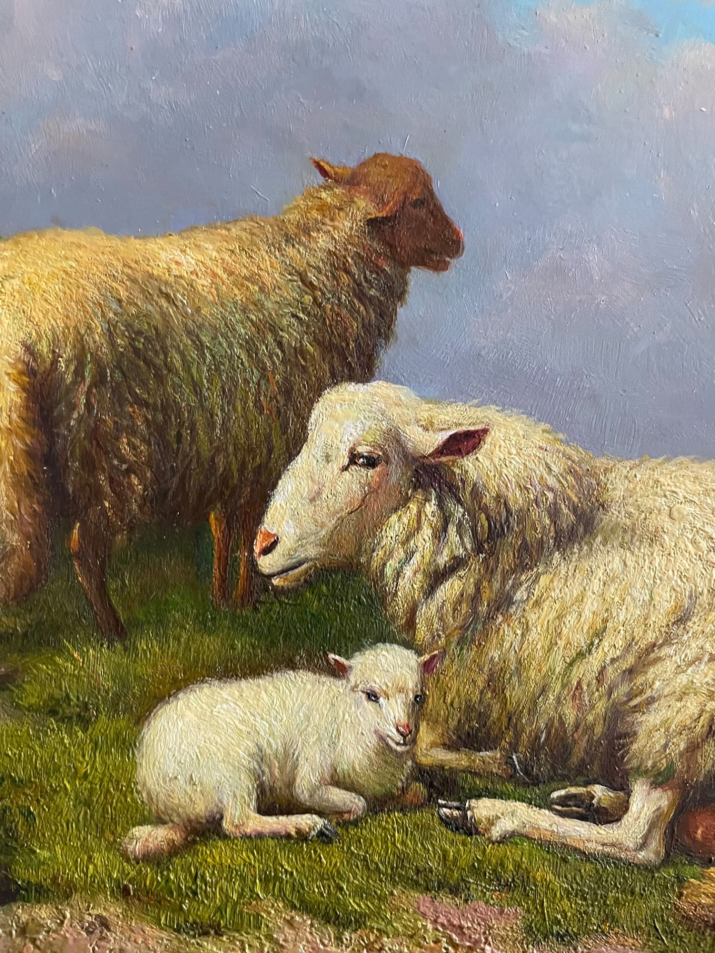 K. Forster, 2 Bilder: Schafe mit Lämmern auf der Weide, links davon Hühner, 30 x 40 cm; Schafe mit - Bild 3 aus 8