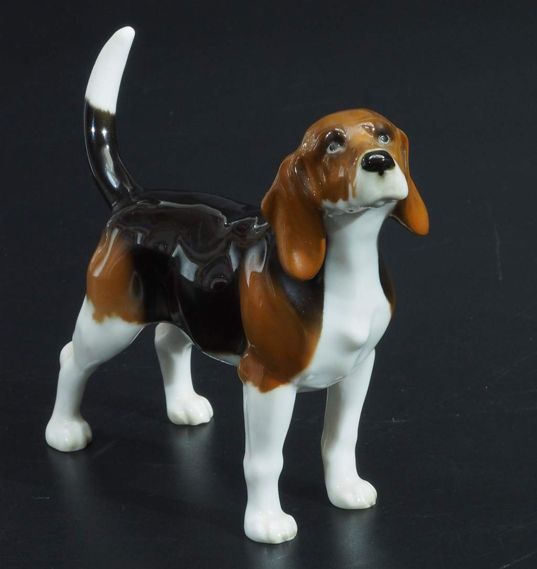 Beagle-Hund. HUTSCHENREUTHER, neuzeitliche Ausformung - Bild 4 aus 6