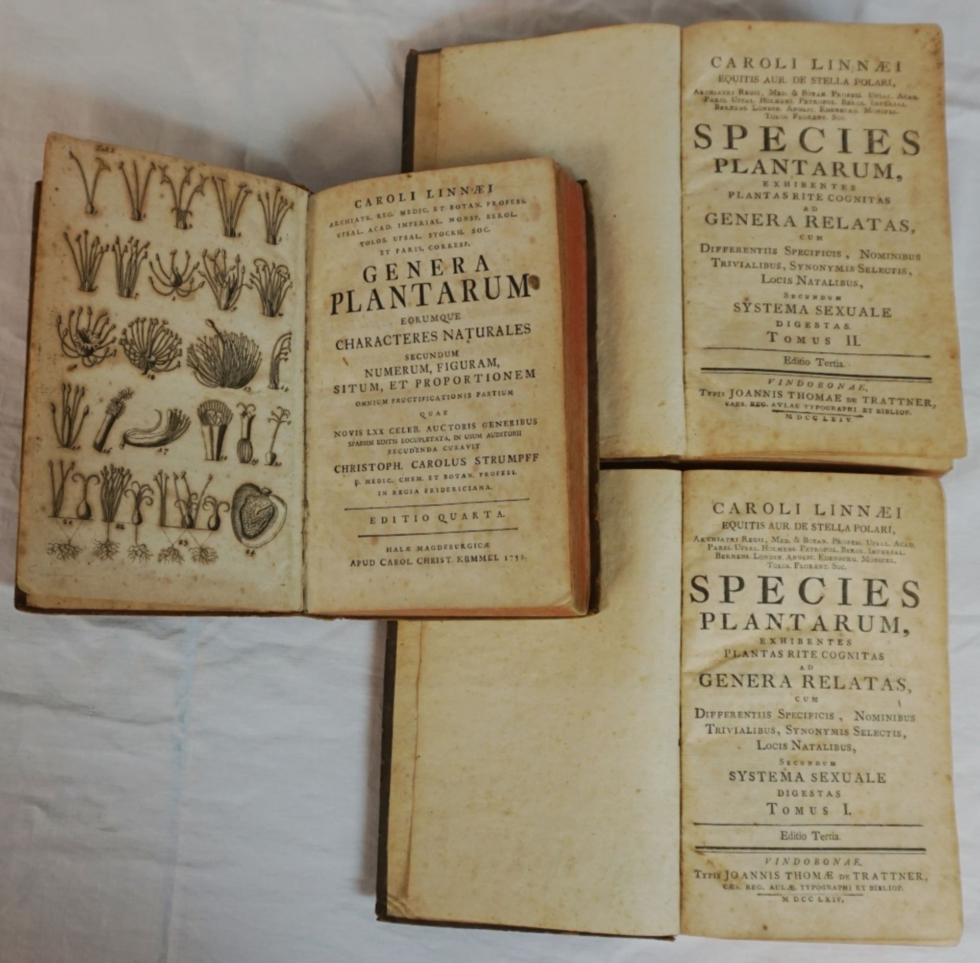 2 Werke des schwedischen Naturforschers und Ritters Carl VON LINNÉ (wohl 1707-1778):