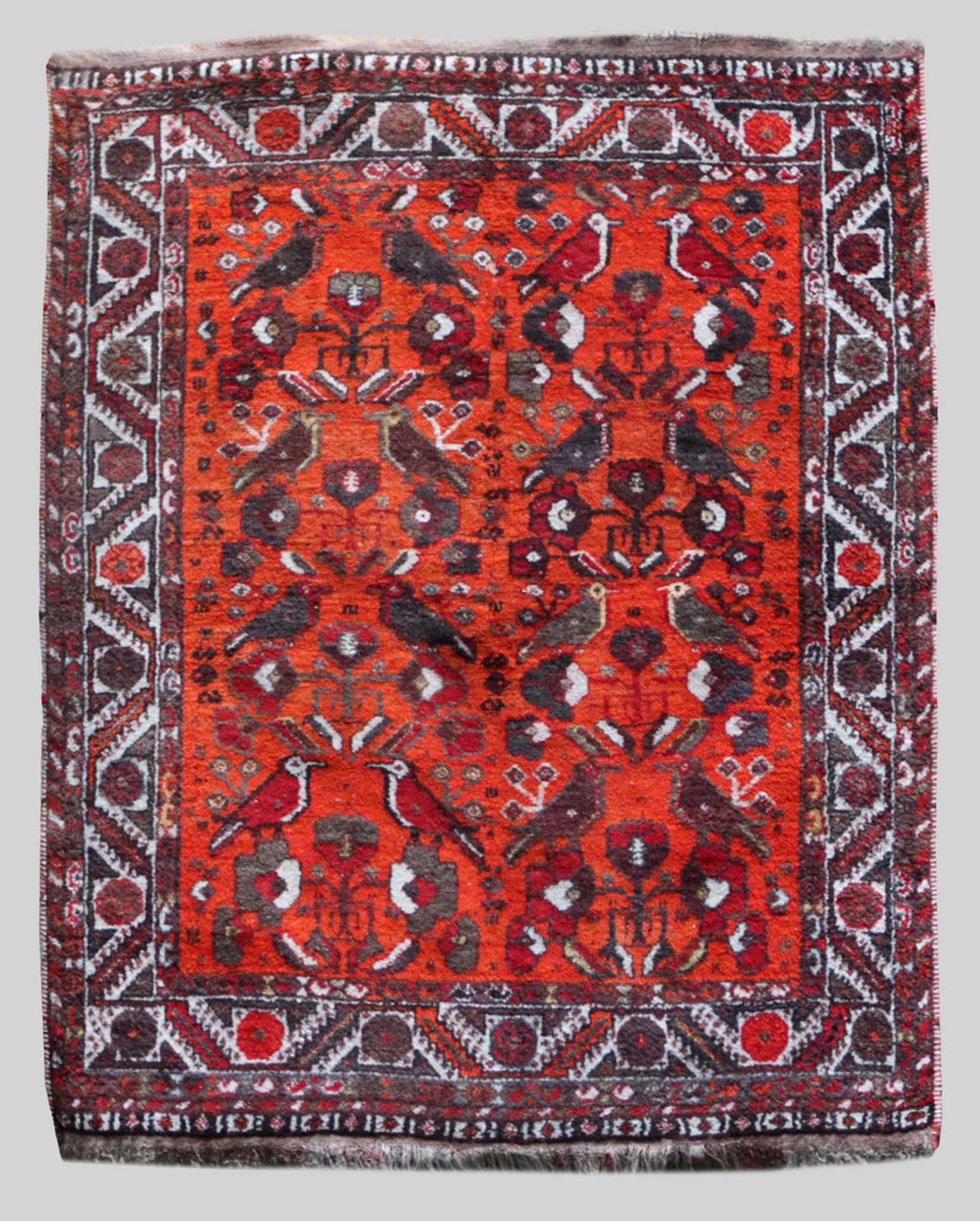 Shiraz, 154 x 124 cm