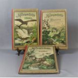3 Kinderbücher, "Schuberts Naturgeschichte", Teil 1-3 (Vögel, Amphibien, Säugetiere) 19.Jh.,