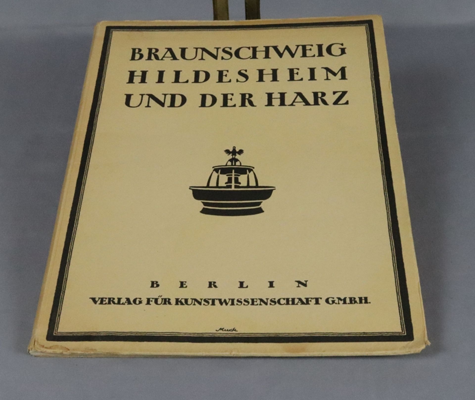 Braunschweig, Hildesheim und der Harz, 110 Abbildungen nach Naturaufnahmen von Ernst Cohn-Wiener, 