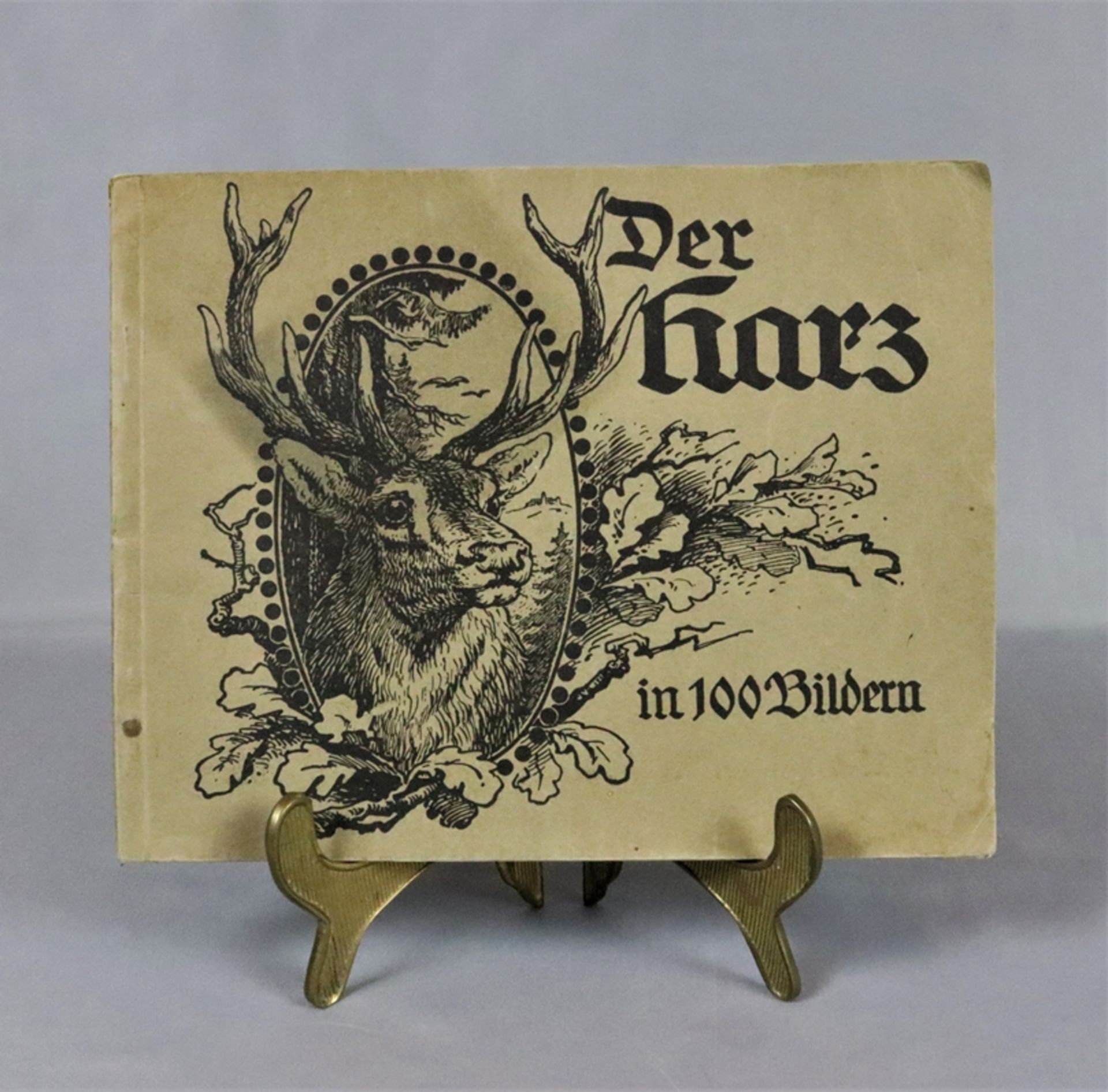Der Harz in 100 Bildern, Album vom Harz, herausgegebener Verlag R. Lederbogen Halberstadt, Ende des
