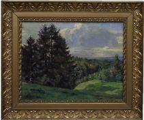 Unsignierte Harzlandschaft in Jugendstil Manier gemalt,