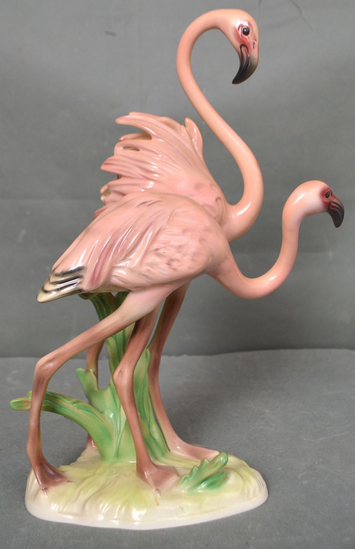 Paar Flamingos