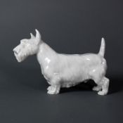 Terrier (Meissen, 20.Jh.)