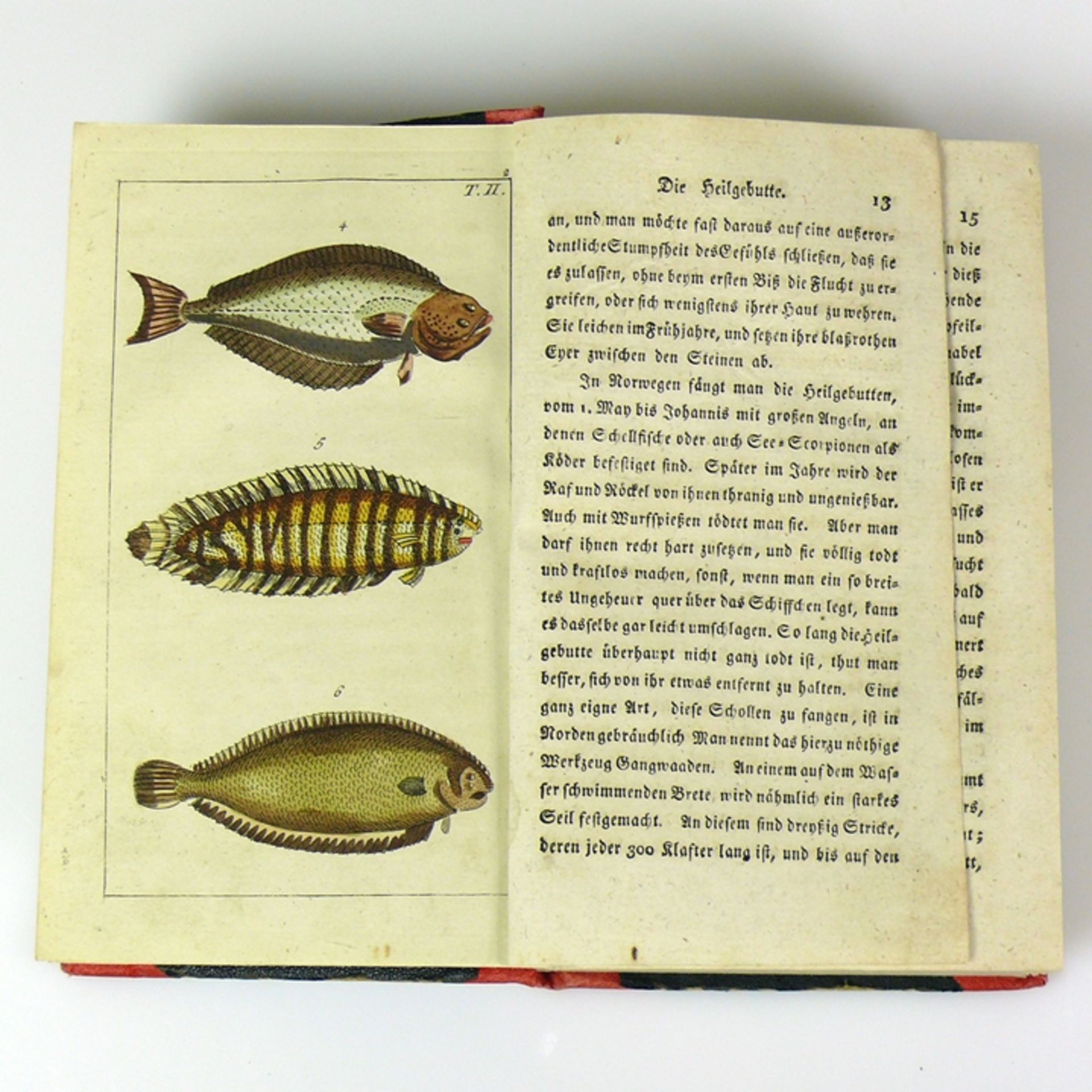 Unterhaltungen aus der Naturgeschichte der Fische - Image 3 of 9