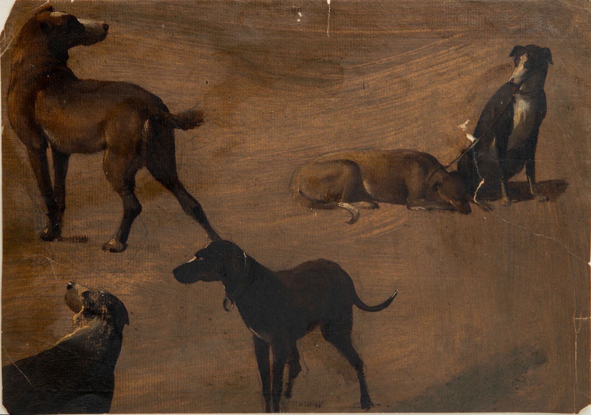 European School, 18th Century, Study of Dogs