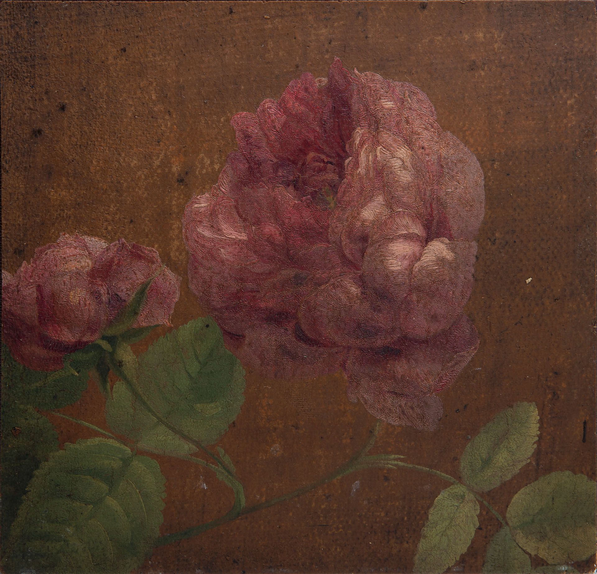 Franco-Flemish School, ca 1700, Blooming Rose (fragment)