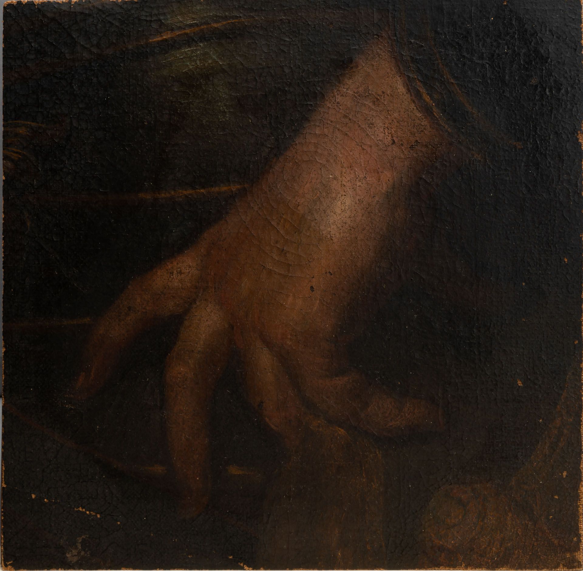 European School, Early 16th Century, Hand (fragment)