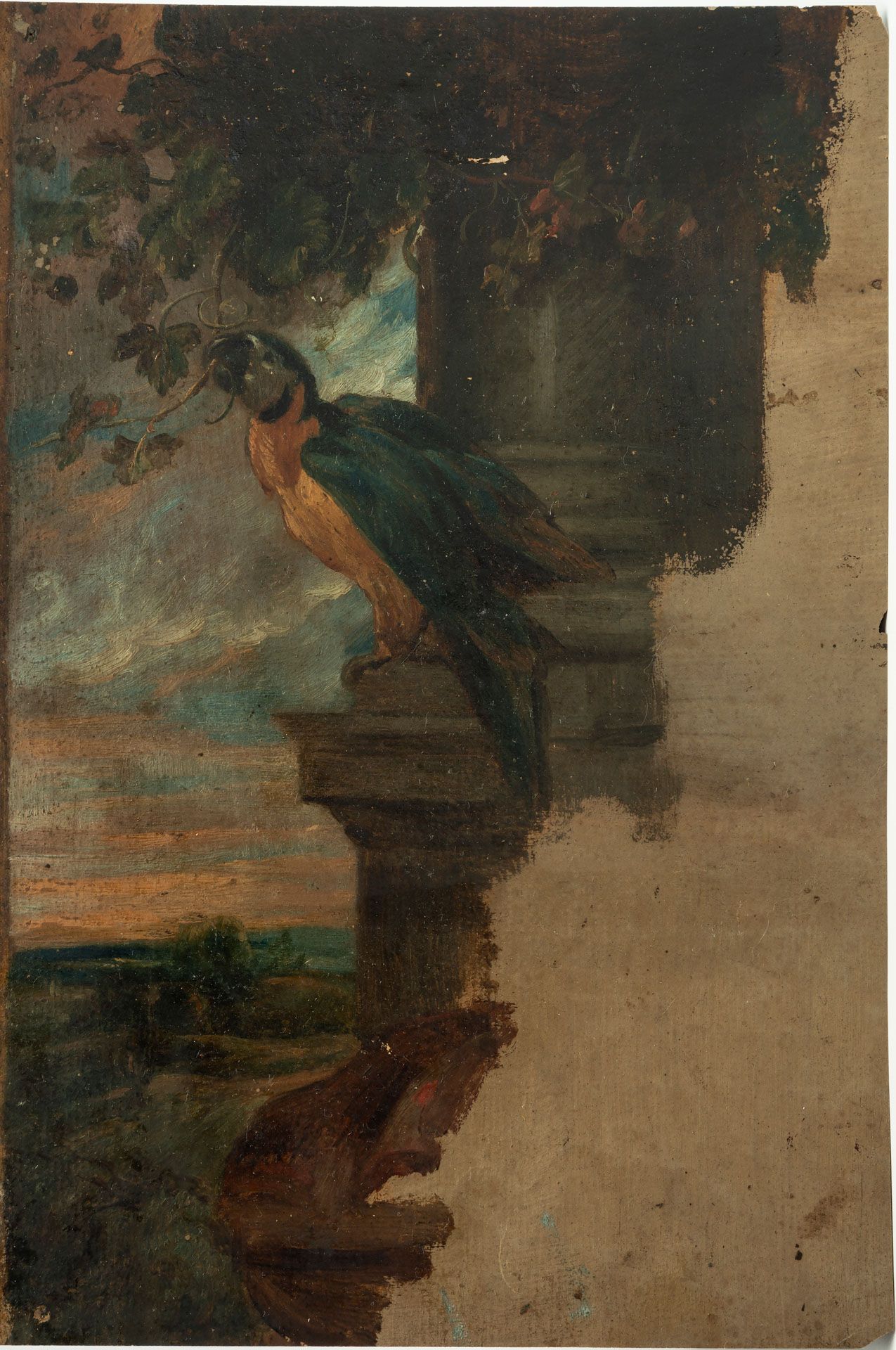 Flemish School, 17th Century, Macaw