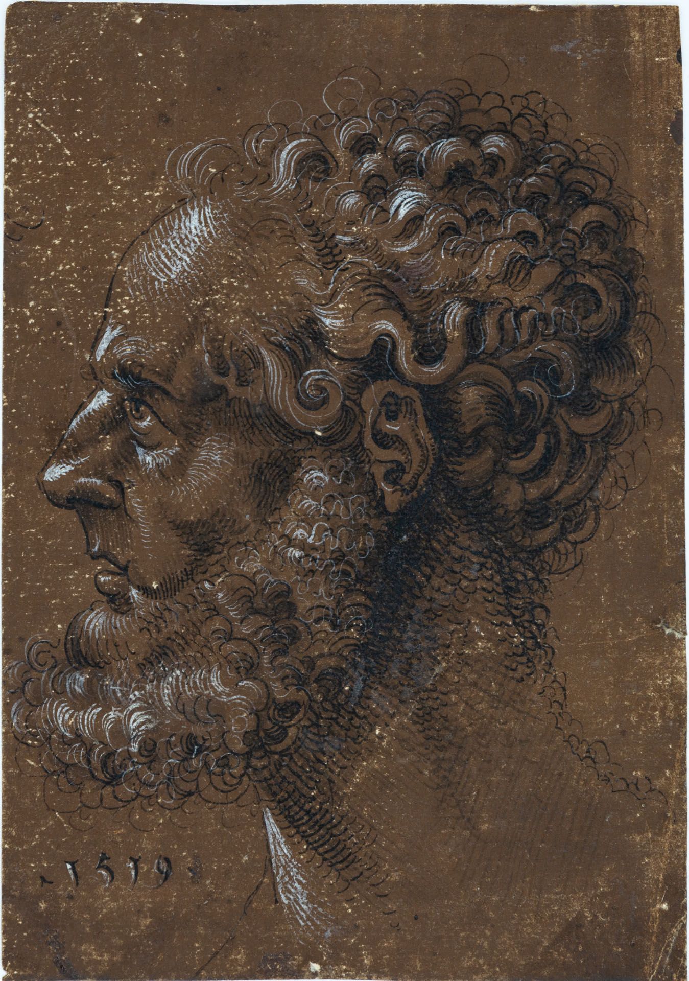 Hans Baldung Called Grien (1484-1545), Head of a Bearded Man in Profile