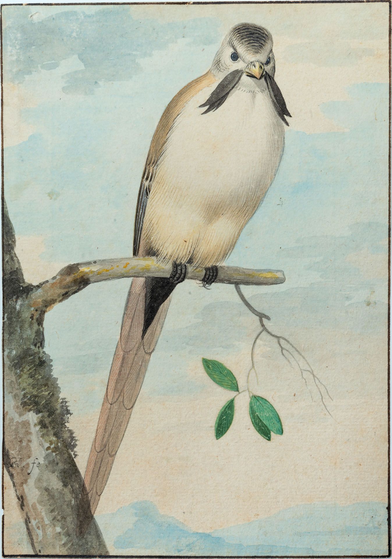 Pieter Holsteyn II (1614-1673/87), A Bearded Tit