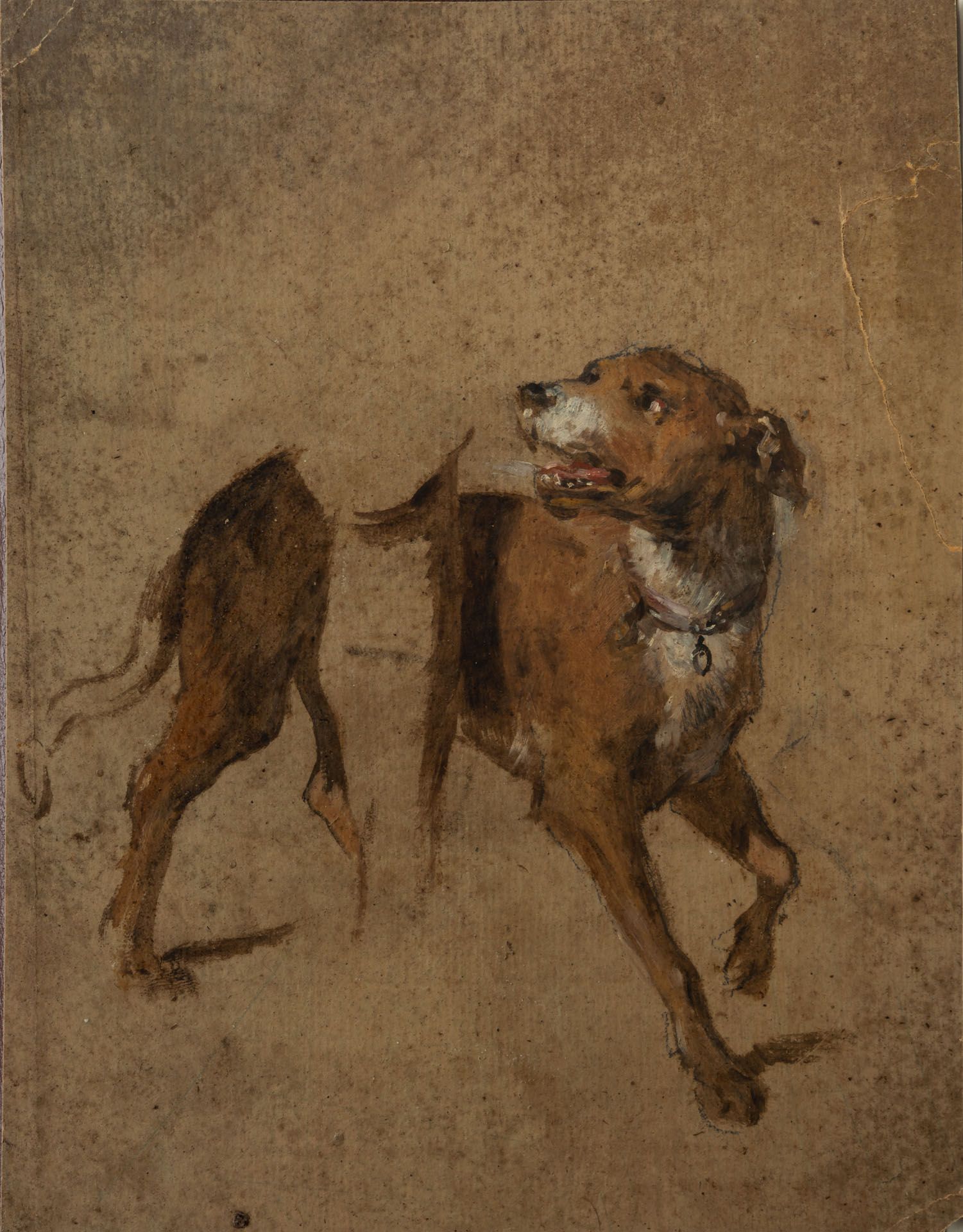 Franco-Flemish School, 17th Century, A Sketch of a Dog