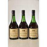 Delamain Champagne Liquid Gold Fine Champagne Cognac 700ml 40% Vol 3 bts 1970's bottling